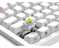 SMX Kishu Honey Switch Lumos white SMXG050 - 1417238 - zdjęcie 11